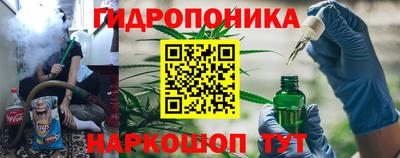 СК Лесосибирск