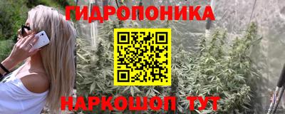 СК Лесосибирск