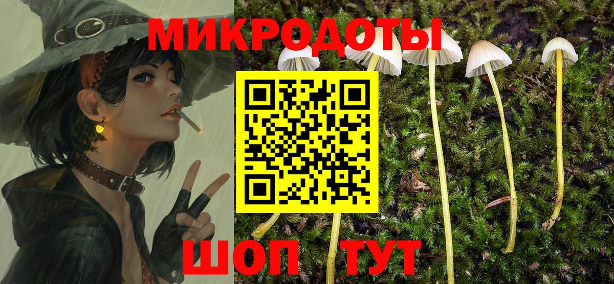 Галлюциногенные грибы GOLDEN TEACHER  Вход с VPN  Алапаевск  Псилоцибиновые грибы MAGIC MUSHROOMS 
